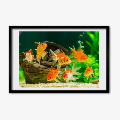 Tulup photo cadre - cadre, le
