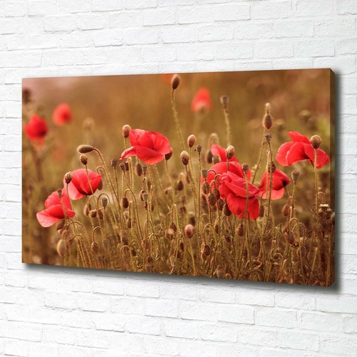 Tulup image sur toile tableau - image,