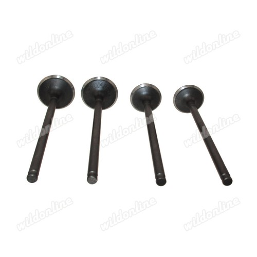 Intake exhaust valves for - intake,