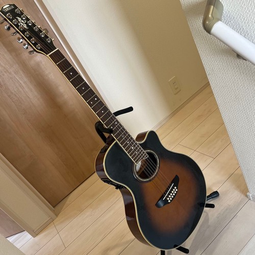 Guitare électrique acoustique