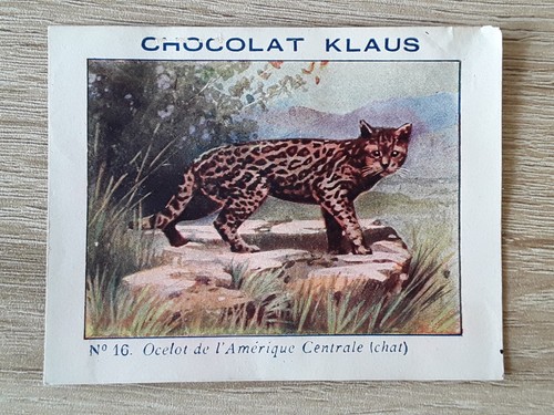 Carte-Chromos-Découpis-CHOCOL