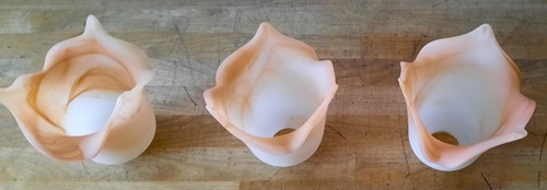 Tulipes art nouveau rose en - nouveau,