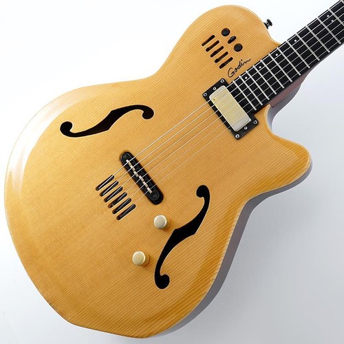 Godin 12 multiac jazz - godin,
