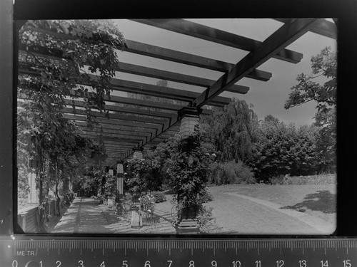 30028874 6520 worms park - 30028874,