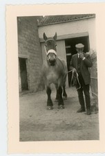 PHOTO  SNAPSHOT, un homme avec un cheval horse écurie