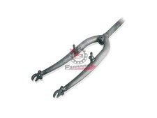 307100210 Fourche 26 Hollande