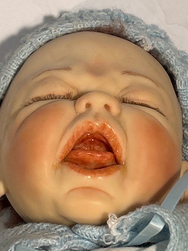 Sheila michael reborn doll - sheila,