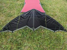 Speed power kite nasenbaer - power,