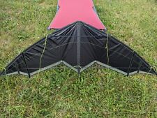 Speed & power kite Nasenbaer Drachen