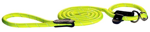 Laisse collier réglable - laisse,