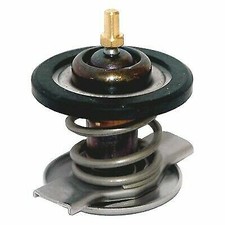 Meat water thermostat Mercedes