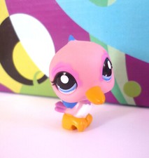 LPS  PET SHOP COLIBRI