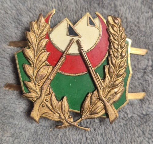 Rare insigne badge medaille - insigne,