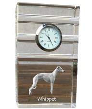Whippet,Petit Anglais