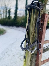 Bride de cheval avec mors