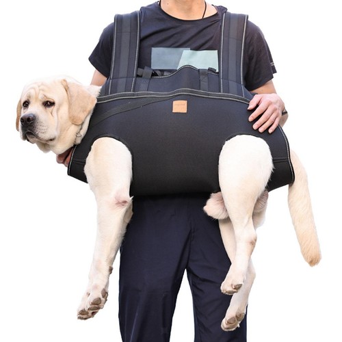 Sac dos transport pour - sac,