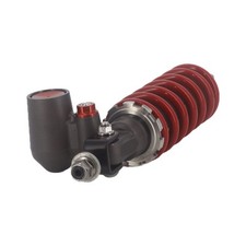 Amortisseur arrière (Triumph