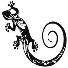 Gecko salamandre 9865