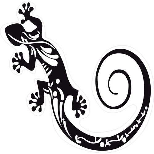 Gecko salamandre 9865