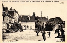 CPA FAYL-BILLOT Grand Centre de Culture d'Osier et de Fabrication (616460)