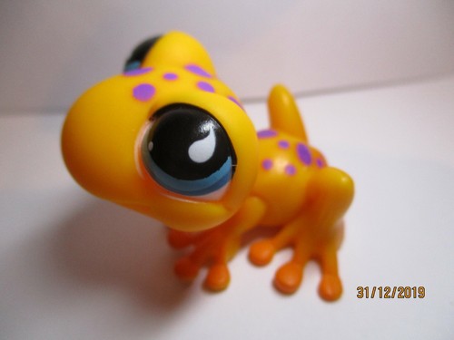 Petshop grenouille 874 - grenouille, n°874