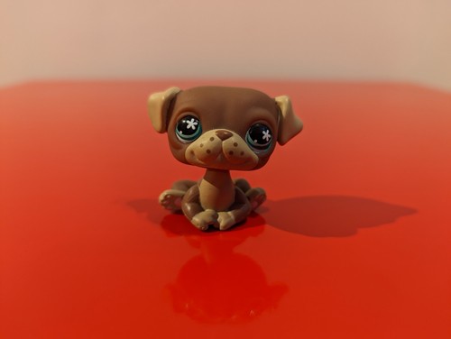 Littlest petshop chien - littlest,