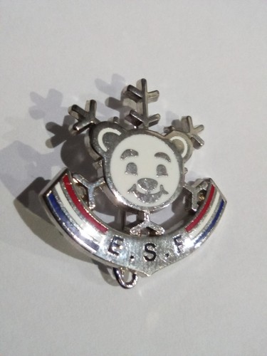 Pin broche ski - pin's,