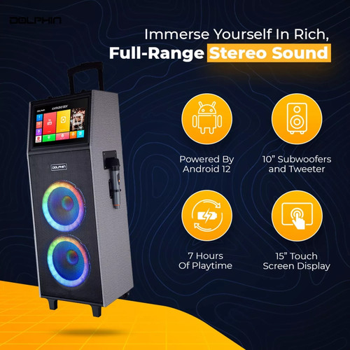 Professional karaoke machine - professional,