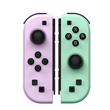 Manette de Jeu Joy-Con