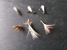 6 véritables mouches de