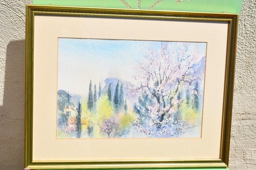 Amandiers fleurs - ,