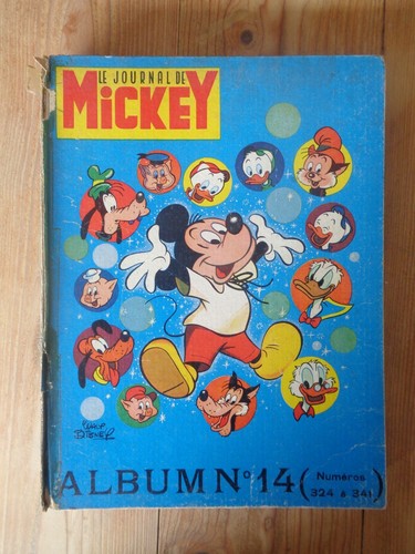 Journal mickey album - journal,