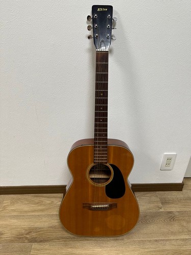 Elite takamine acoustic guitar - takamine,
