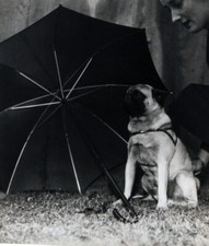 Photo de presse vintage