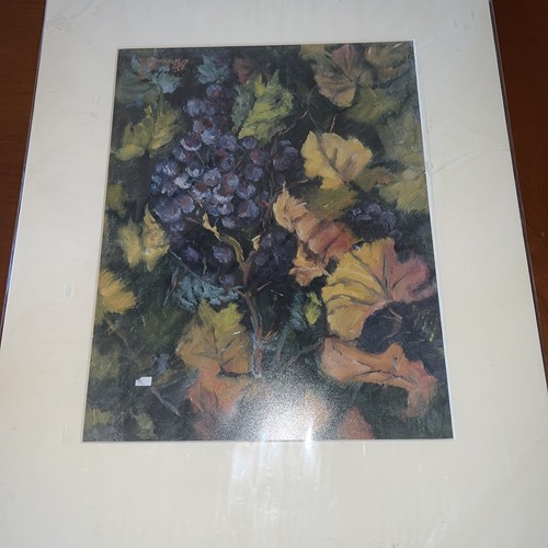 Geri srite grapes fresco - geri, a