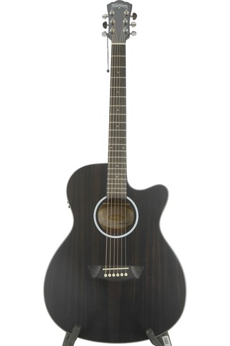 Washburn deep forest ebony ace - deep,