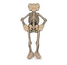 KAWS x ORIGINAL FAKE  Companion skeleton  2007