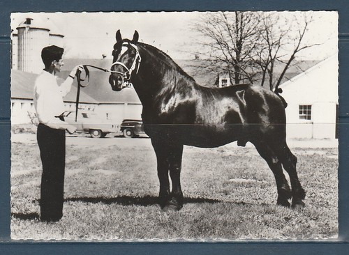 Cpsm vers 1960 - vers, faune
