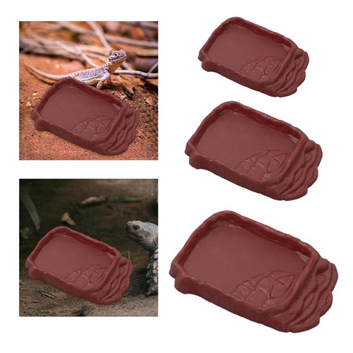 Bol nourriture reptile - de,