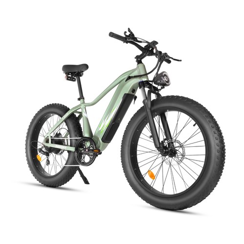 Vélo électrique fat bike - Électrique,