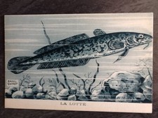 CP ILLUSTREE SIGNEE RAOUL GUINOT LA& LOTTE - POISSON - 51489