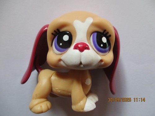 Petshop chien basset hound - chien,