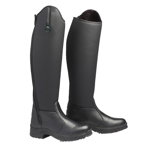 Mountain horse active winter - mountain,