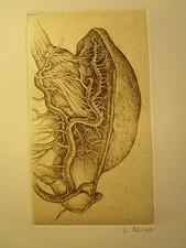 Les états du corps Bernard