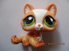 PETSHOP CHAT SPHYNX N°1868