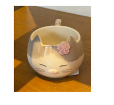 Starbucks Korea 2026 Spring