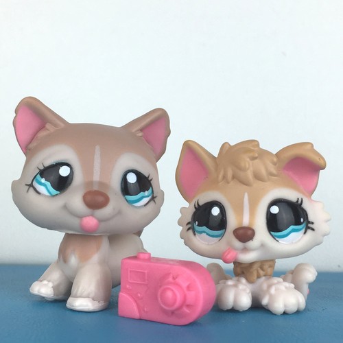 Authentic littlest pet - authentic,