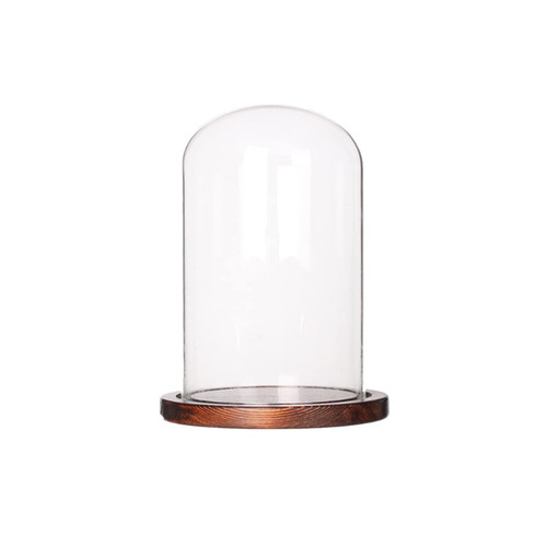 Cloche verre diamètre 25 - cloche,