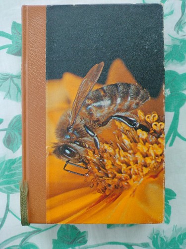 Livre sur vie des abeilles - livre, la