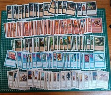Lot Vintage Cartes Magic The Gathering 7eme Édition